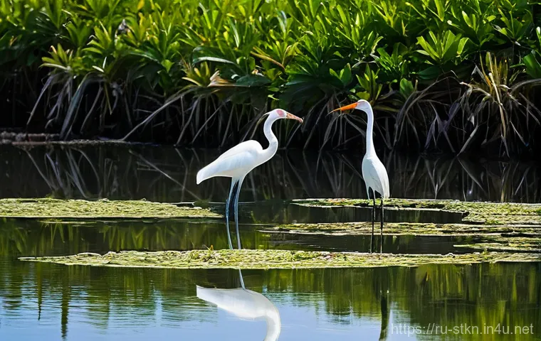 세인트키츠 네비스 조류 관찰 명소 - **"St. Kitts Hummingbird in Virgin Forest"**: Deep within the dense, humid virgin forests of St. Kit...
