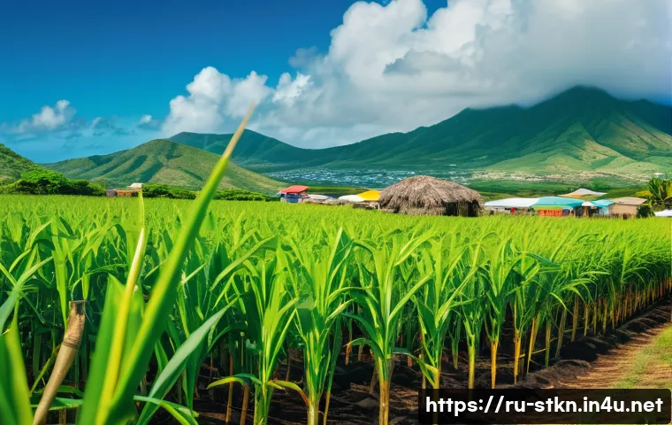 세인트키츠 네비스 사탕수수 산업 - A vibrant Caribbean sugarcane plantation on Saint Kitts and Nevis during harvest season, featuring m...